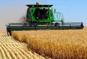 188 e1456472521835 - پیش بینی خرید ۹ میلیون تن گندم از کشاورزان در سال زراعی آینده