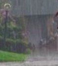e1459000370892 - بارش های رگباری ۱۱ استان کشور را در برمی گیرد