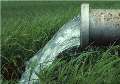 آب - رد پای برخی محصولات کشاورزی و دامی در مصرف بی رویه آب
