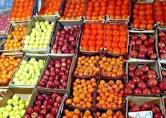 سیب و پرتغال - توزیع سیب و پرتقال تا ۲۰ فروردین ماه در اصفهان  ادامه دارد
