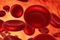 خونی e1509721533431 - درمان کم خونی با ۹ ماده غذایی