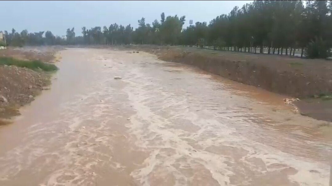 2014982 - فیلم| جاری شدن رودخانه فصلی رفسنجان در پی بارش باران