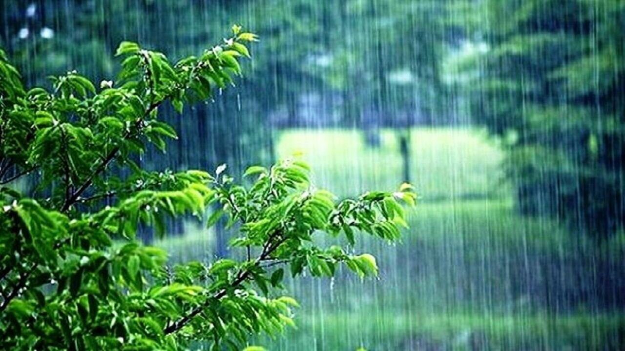 2014433 - بارش شدید باران در گیلان تا فردا ادامه دارد